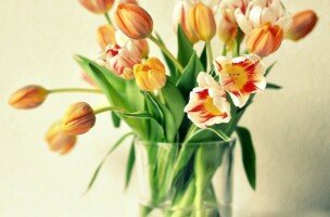 Как сохранить тюльпаны в вазе